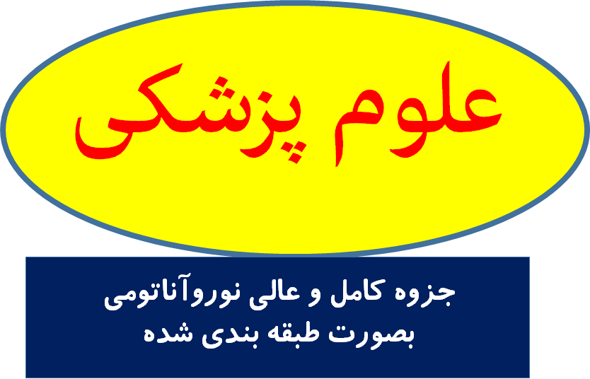 جزوه کامل و عالی نوروآناتومی بصورت طبقه بندی شده