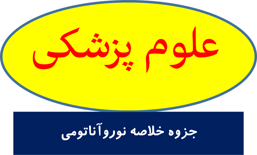 جزوه خلاصه نوروآناتومی