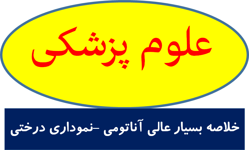خلاصه بسیار عالی آناتومی -نموداری درختی