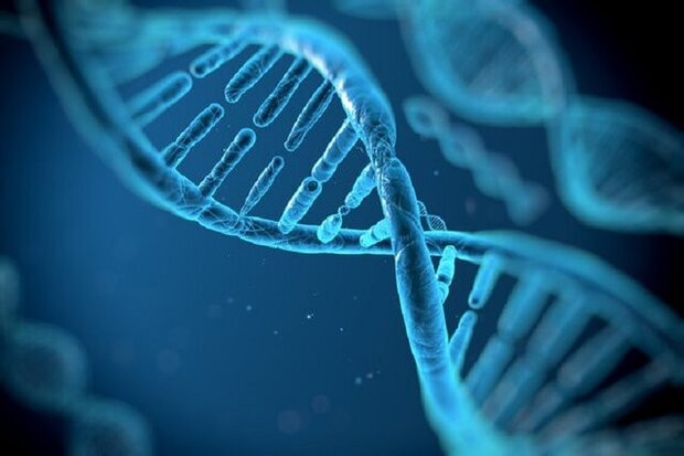 راهنمای جامع ژن ها: گامی بلند در مسیر رمزگشایی از اسرار وراثت!