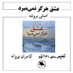 رمان عشق هرگز نمیمیرد