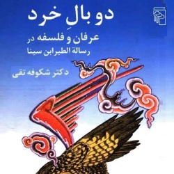 دو بال خرد