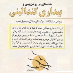 دانلود کتاب بیداری کندالینی