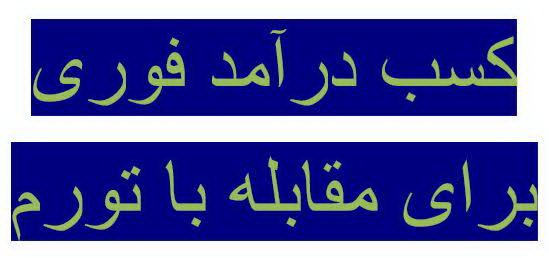 روشهای آسان  کسب درآمد فوری برای مقابله با تورم