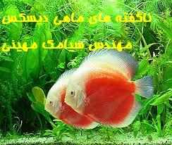 ناگفته های ماهی دیسکس ( Discus Fish Secrets)