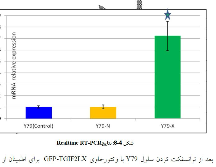 بررسی بیان برخی miRNA در رده سلولی مشتق از سرطان رتینوبلاستوما بیان کننده افزایشی TGIF2LX در اثر مجاورت با داروی SD-208