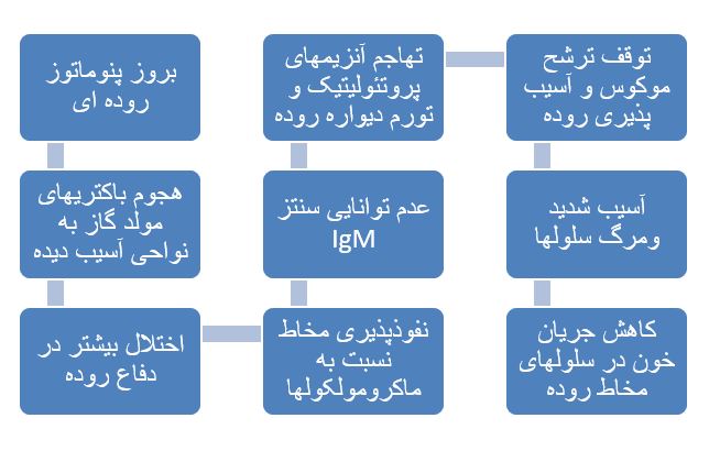 پاورپوینت "آنتروکولیت نکروزان(NEC)" در 12 اسلاید