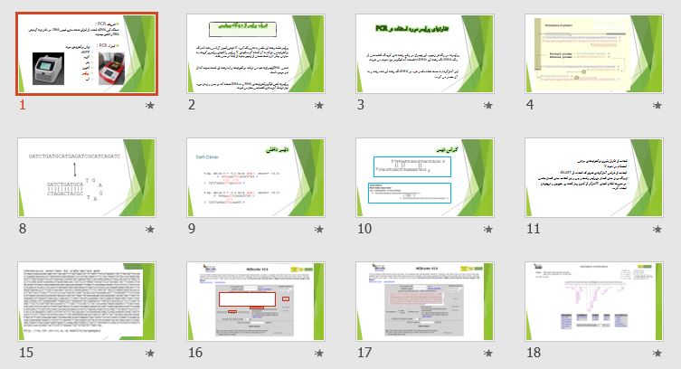 دانلود پاورپوینت و PDF" اصول طراحی پرایمر"