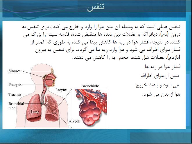 دستگاه ونتیلاتور 28 ص
