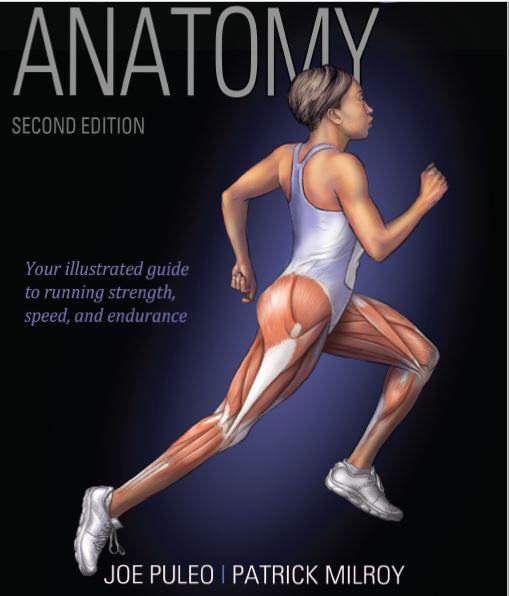 Running Anatomy second Edition