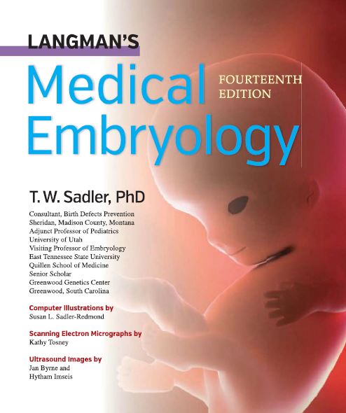 LANGMANS Medica EDURORINTA Embryology FOURTEENTH  EDITION