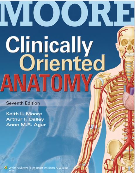 Moore - Clinically Oriented Anatomy 7th Ed