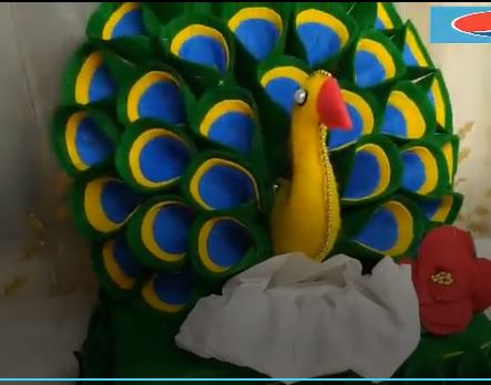 خرید فیلم آموزش ساخت جادستمالی و جاشکلاتی به شکل طاووس