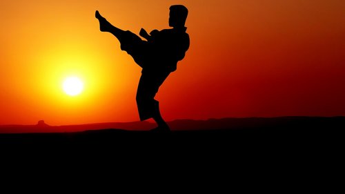 کتاب کاراته عملی به زبان اصلی (انگلیسی) - Practical Karate