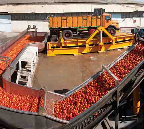دانلود پروژه کارآفرینی تاسیس  کارخانه تولید رب گوجه فرنگی (با قابلیت ویرایش و دریافت فایل Word)تعداد صفحات  36