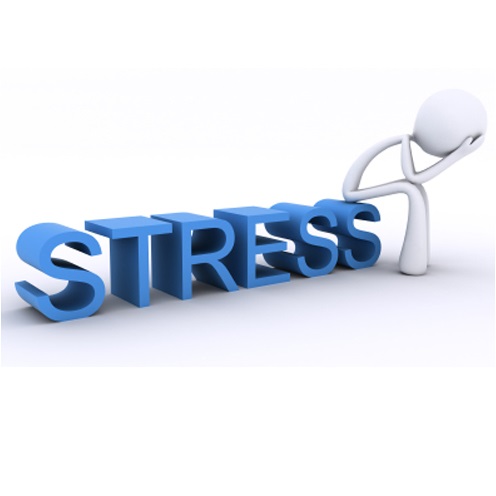 تحقیق  در مورد استرس کارکنان و راه های مقابله با آن ها      تعداد صفحات  45ص