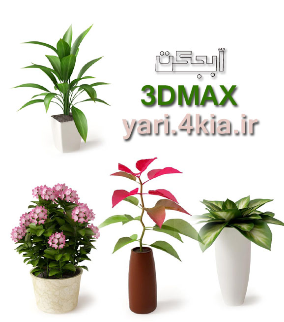 آبجکت 3DMAX  گل و گیاه     1