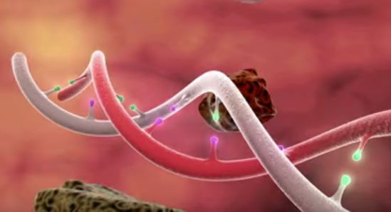 انیمیشن سه بعدی در رابطه با موتاسیون DNA