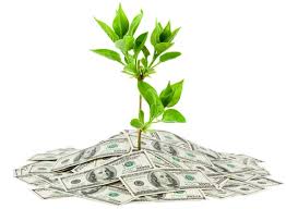 کسب و کار_تولید محصولات خارج از فصل در گلخانه