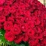 جزوه_مقاله